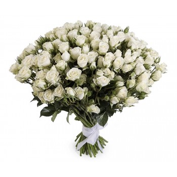 Букет из белых кустовых роз "Белоснежка"